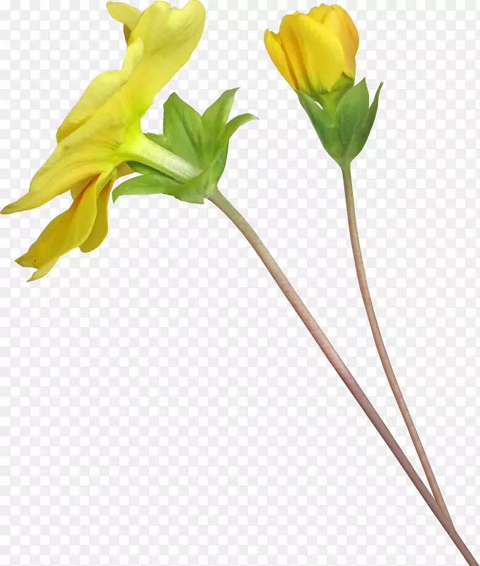 ˮ�ʻ����ռ�����-��-������