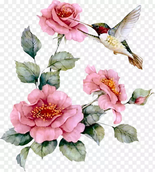 ���񶯻���������-����-������