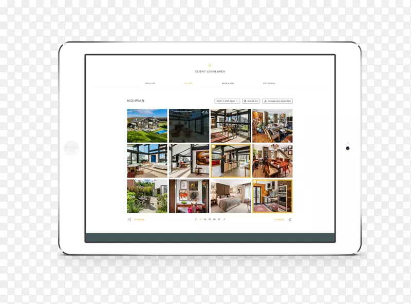 ��ý�����Ʒ��-������