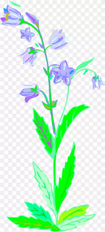 ֲ�ﾥҶ���㿪��ֲ�������-������