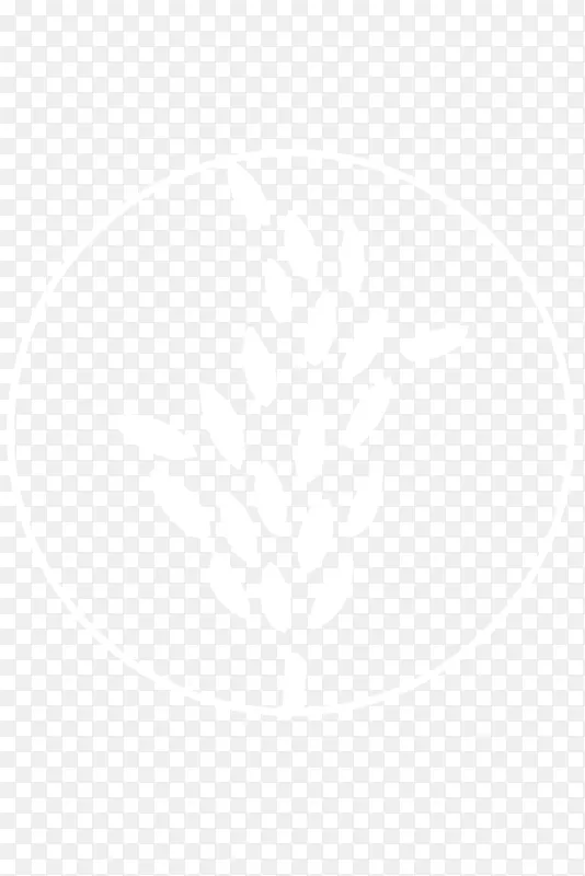 ���Ϲ���ѧ���Լ��������ʼ���Ѷ����-���Ժ�-������