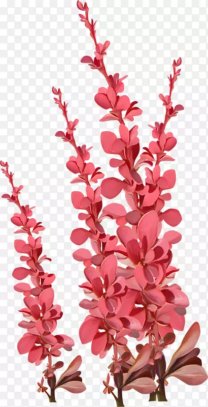 �л�����-������