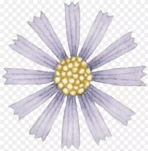 Ұ�ջ���ͨ�ֻ�Ұ�ջ�-������