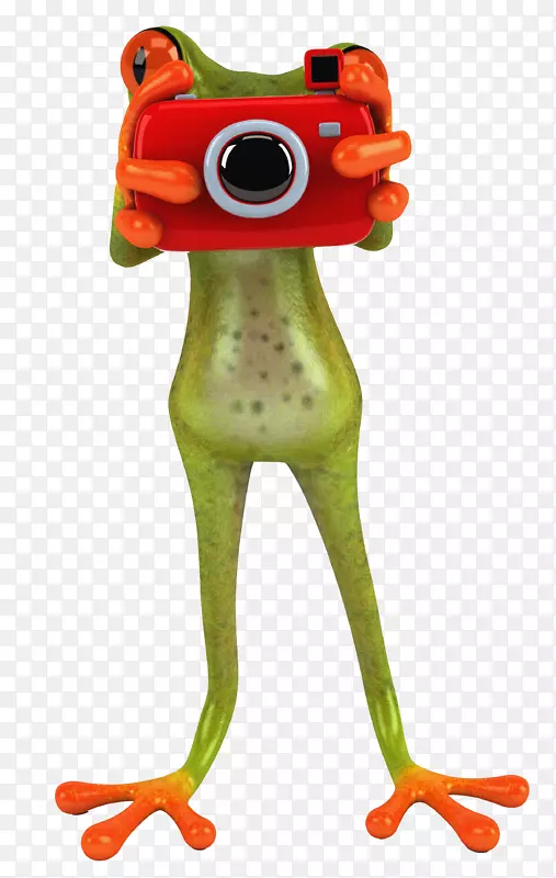 RANAS/������ֽ-����-������