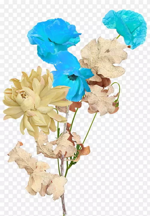 ������Ƽ���������-������