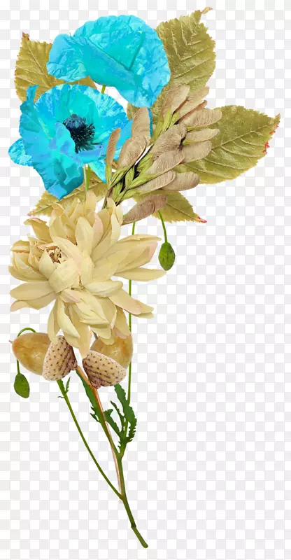 ������Ƽ���������-������