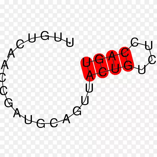 �����Ӱ������.�����ѧ-������