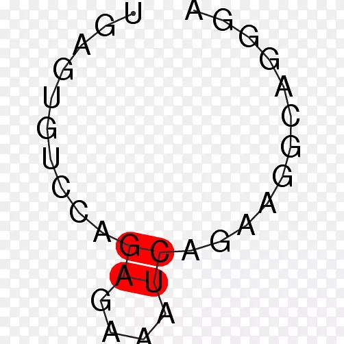 �����ղ�Sentra��ɫ����������-�����ѧ-������