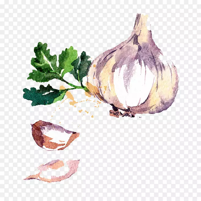 ��������ˮ�ʻ�.����߲�-������