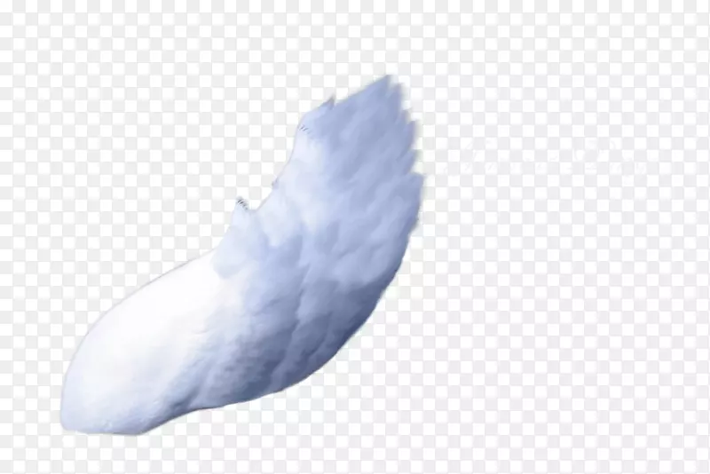 ���˾-����������-������