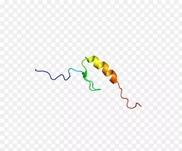 �ߵ�Ǽ�����-����-������