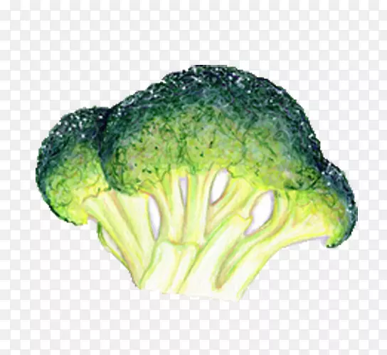 ������Ҷ�߲�ʳƷ��ͼ.�ֻ滨Ҭ��-������