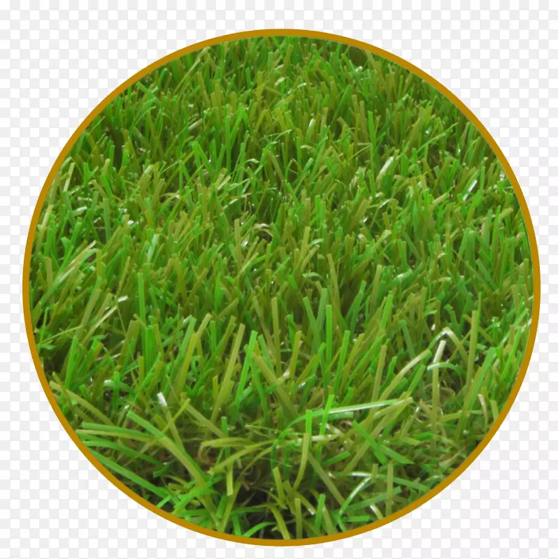 б����ˮ���˹���ƺ��԰�ݷ�ï-������