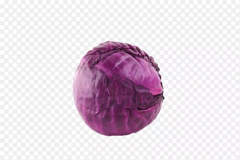 ��ײ˻�Ҭ��-���Ĳ�-������