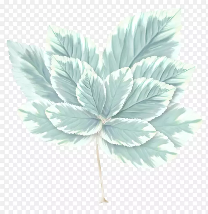 Ҷˮ�ʻ���դͼ��.Ҷ-������