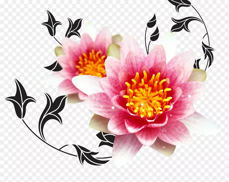 ���յ���ף�����źؿ������-����-������