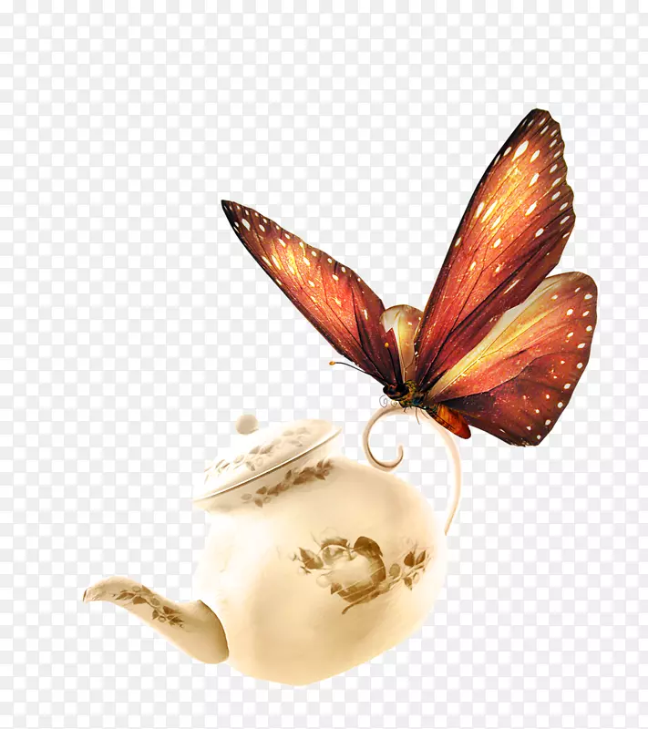 �������������ֽ-����-������