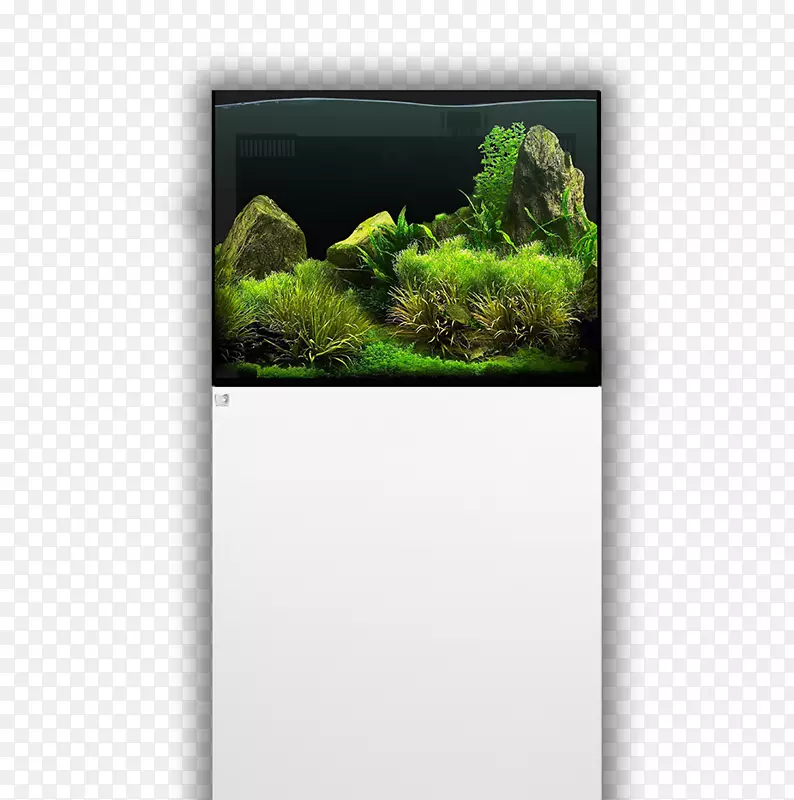 ɺ����ˮ��ݺ�ˮ��̬ϵͳɺ������ˮ��ˮ���-������