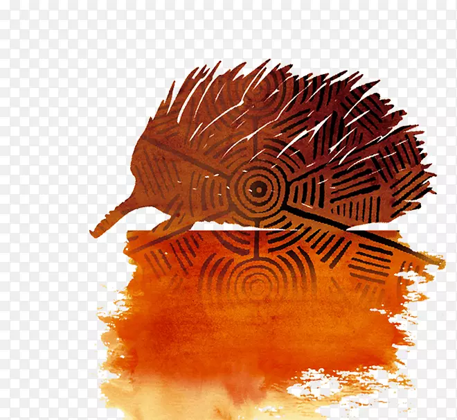 ���Ĵ����ǲ����Yirra Yakin��Ժ��˾Noongar People�����Ĵ�������-������-������