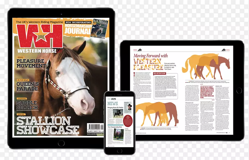 ��չʾ���Ʒ�ƶ�ý������-������