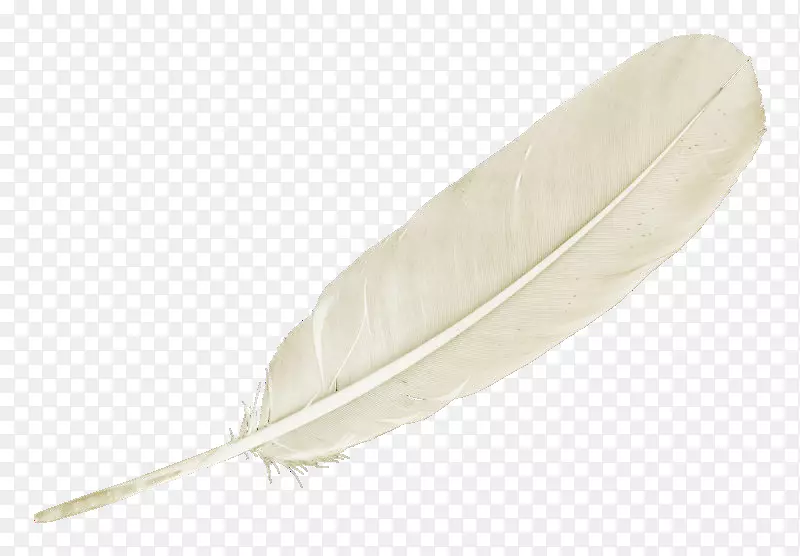 ��ëu767du8272u7fbdu6bdb����-��ɫ��ë-������