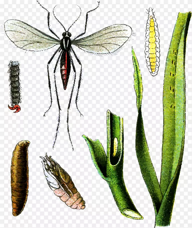 ��������Ӭ���ó桢���������-������