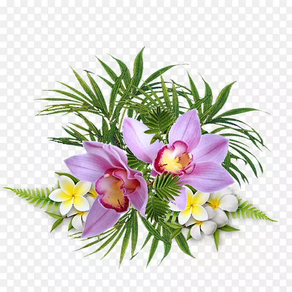 ������Ƽ���������-������