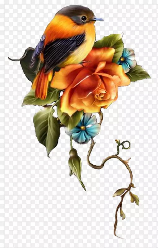 ���ܲ���ͷ�������-��-������