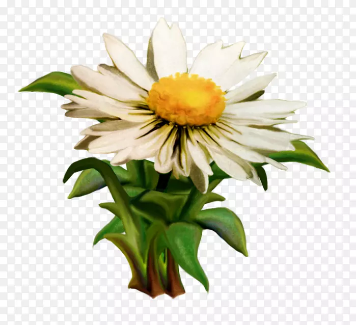 �ջ�ţ�۳��ռ�����-�ջ�-������