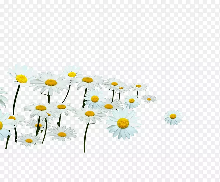 ��ͨ�ջ�-������