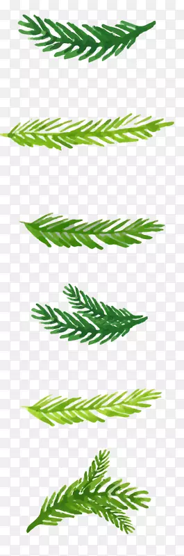 ʥ����ˮ�ʻ�.ˮ�ʻ�ʥ��װ��ֲ��-������