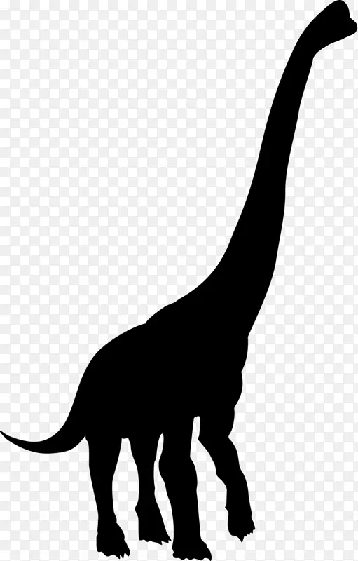 è½������β�ͼ�����-�������-������