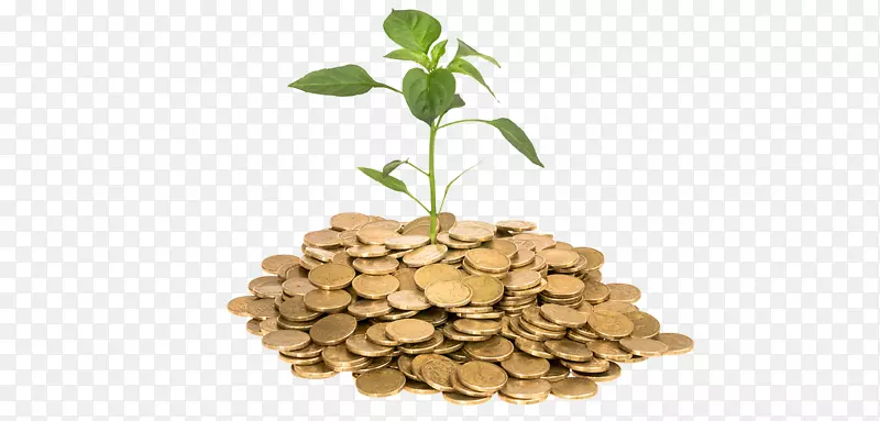 ���ϻ����ڴ�Ǯ-ס���͸���-������