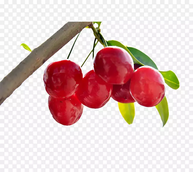 ӣ�ҽ���ӣ��-������