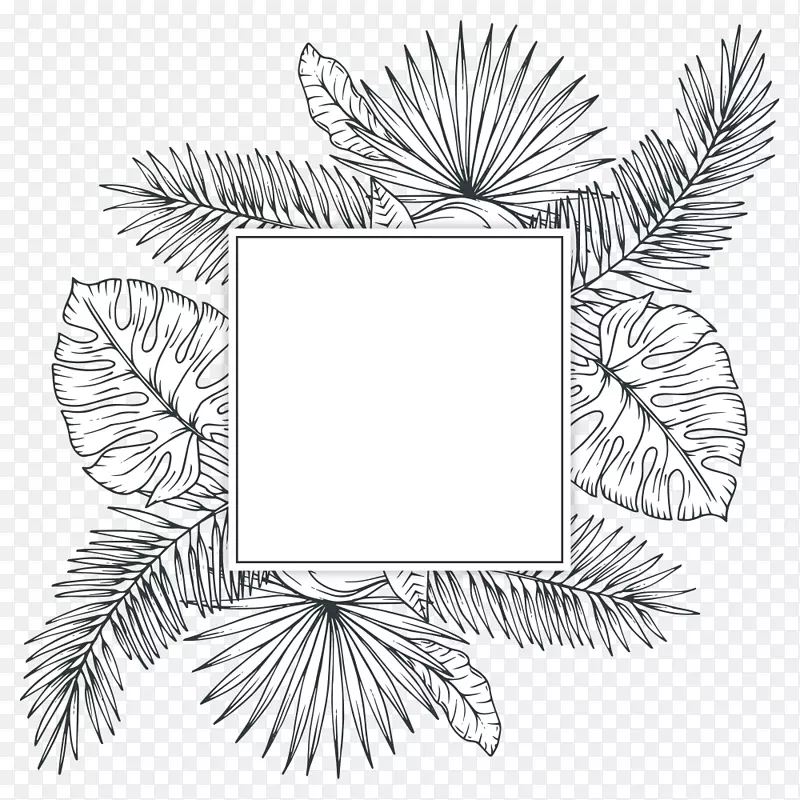 �ȴ�ֲ������-�ȴ�ֲ��-������