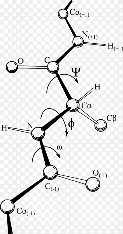 Ramachandranͼ����ǵ����ʽṹ-�Ǽ�-������
