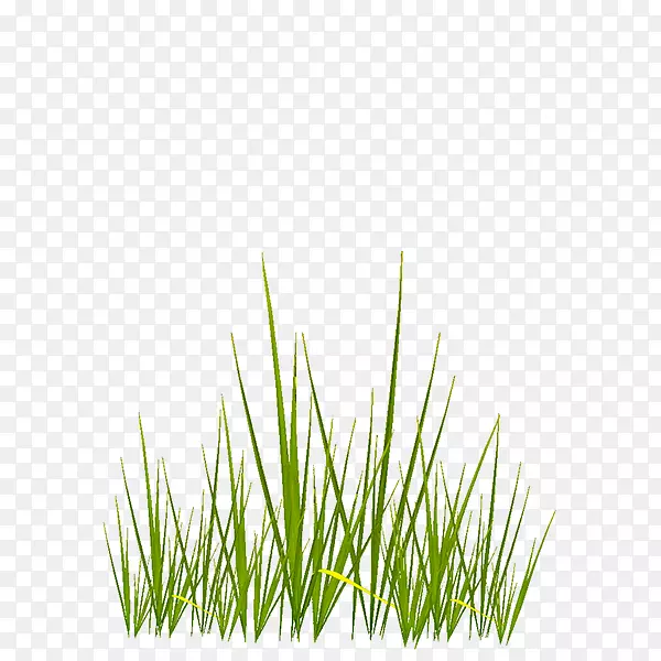 ����ӳ��3D�����ͼ��.ˮ�ʲ�-������