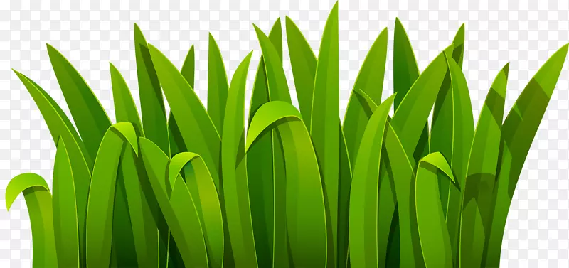 ��ɫ��������-�̲�-������