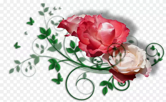 �����ռǣ��������磬���ü�����-��-������