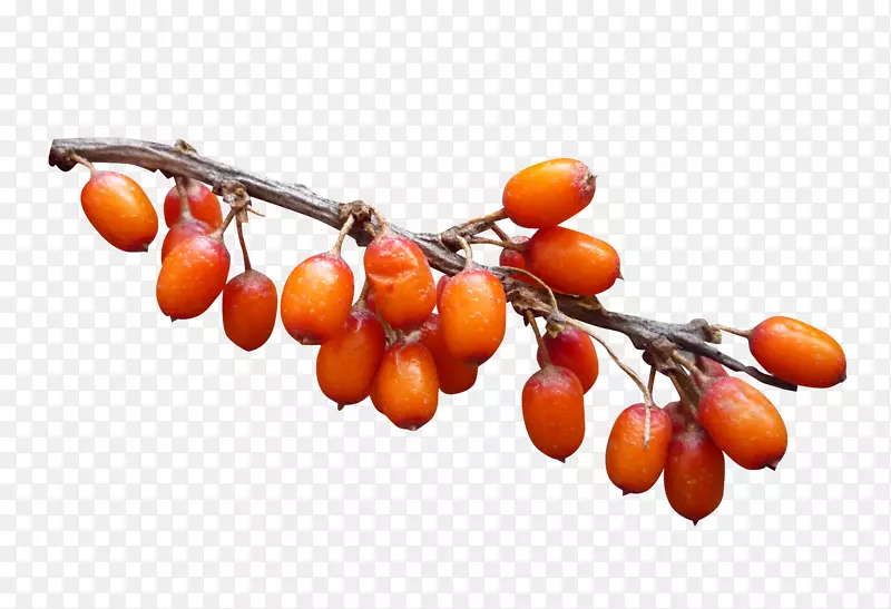 �＾�¸���˹������-�＾װ��Ʒ��-������