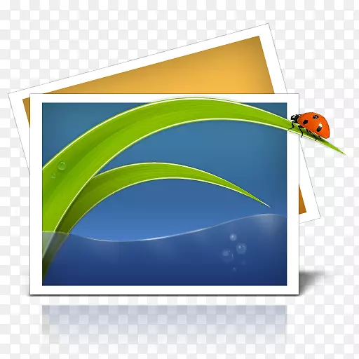 ����ͼ�������ֽ-������