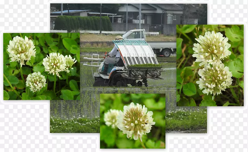 ��������л���������-������