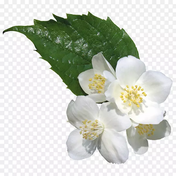 �廨����-������