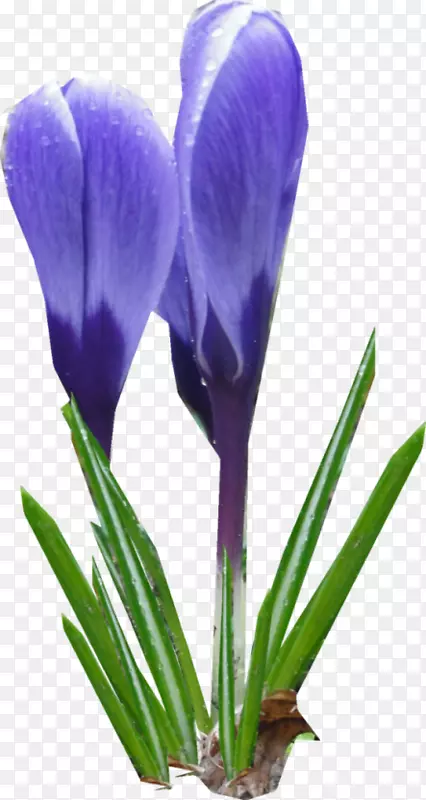 �غ컨������-���컨-������