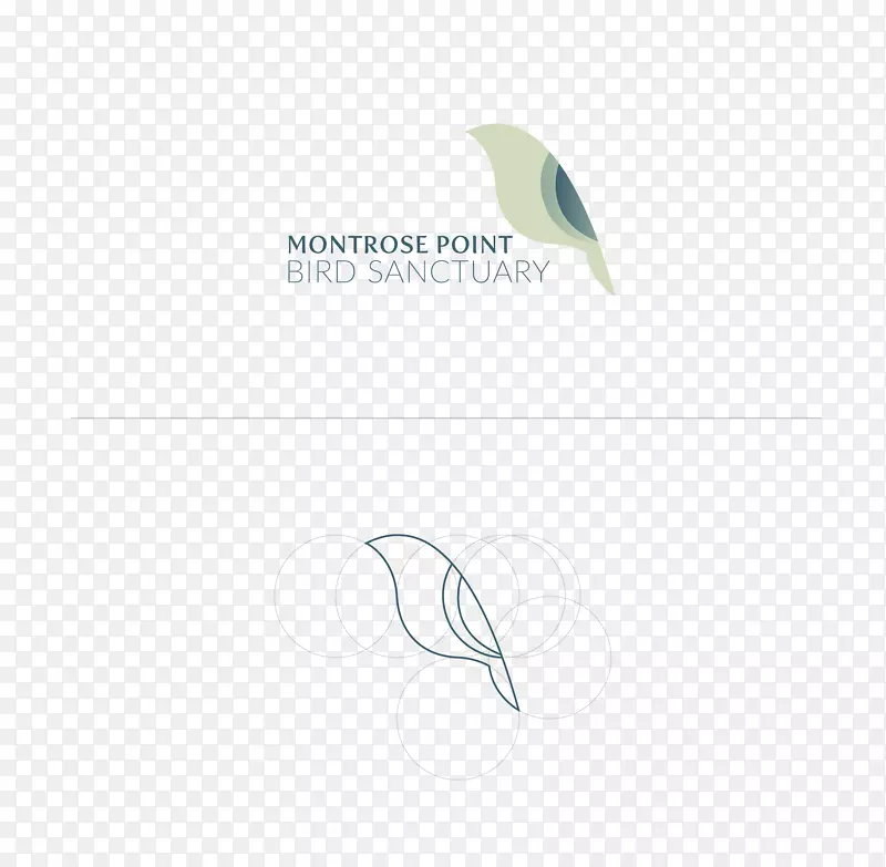 �ձ���ë��ɫ����-������