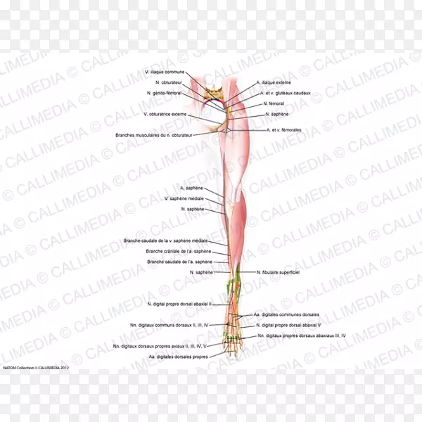 ��ָͼ�߽�-­��-������