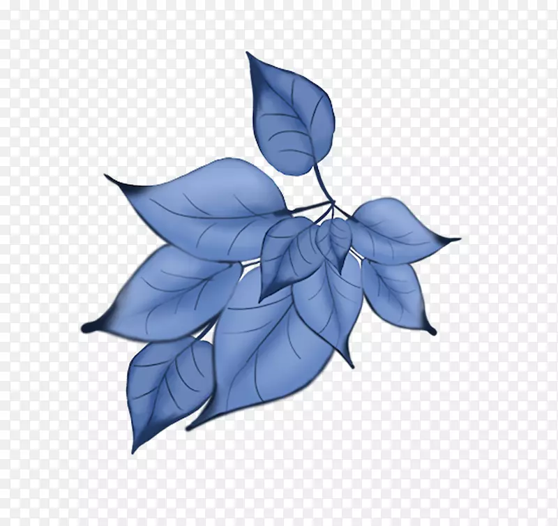 ���Ʋ��ͼ�����-������