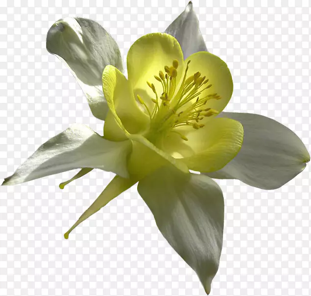 ��ͭɫ�Ĳ��ͻ�-��-������