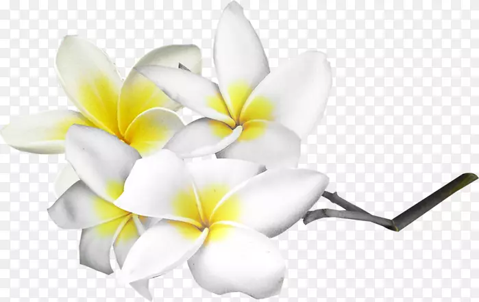 �廨����-������