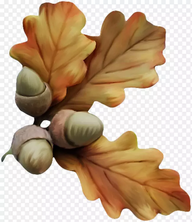 ���ӻ�������-������